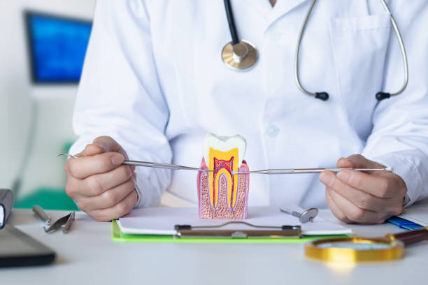 Best Dentist for Dental Trauma  in Odessa, MO